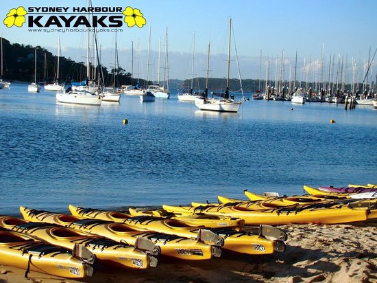 Sydney Harbour Kayaks